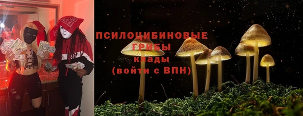 мяу мяу мука Армянск