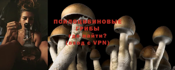 дурь Арсеньев