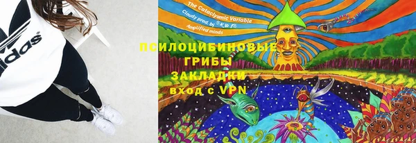 гашик Балабаново