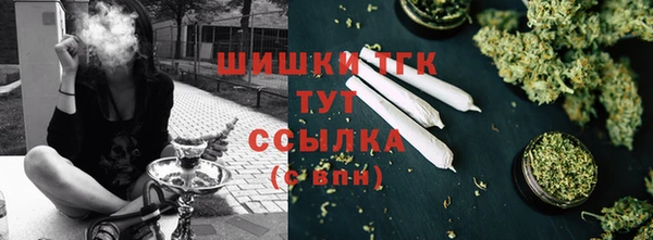 мдпв Снежногорск